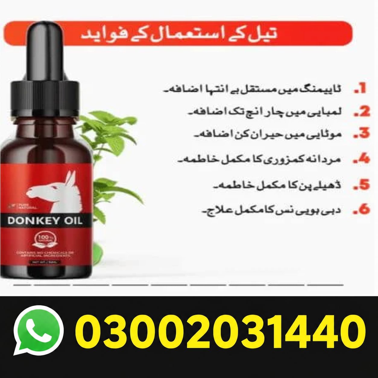 Donkey Oil In Pakistan