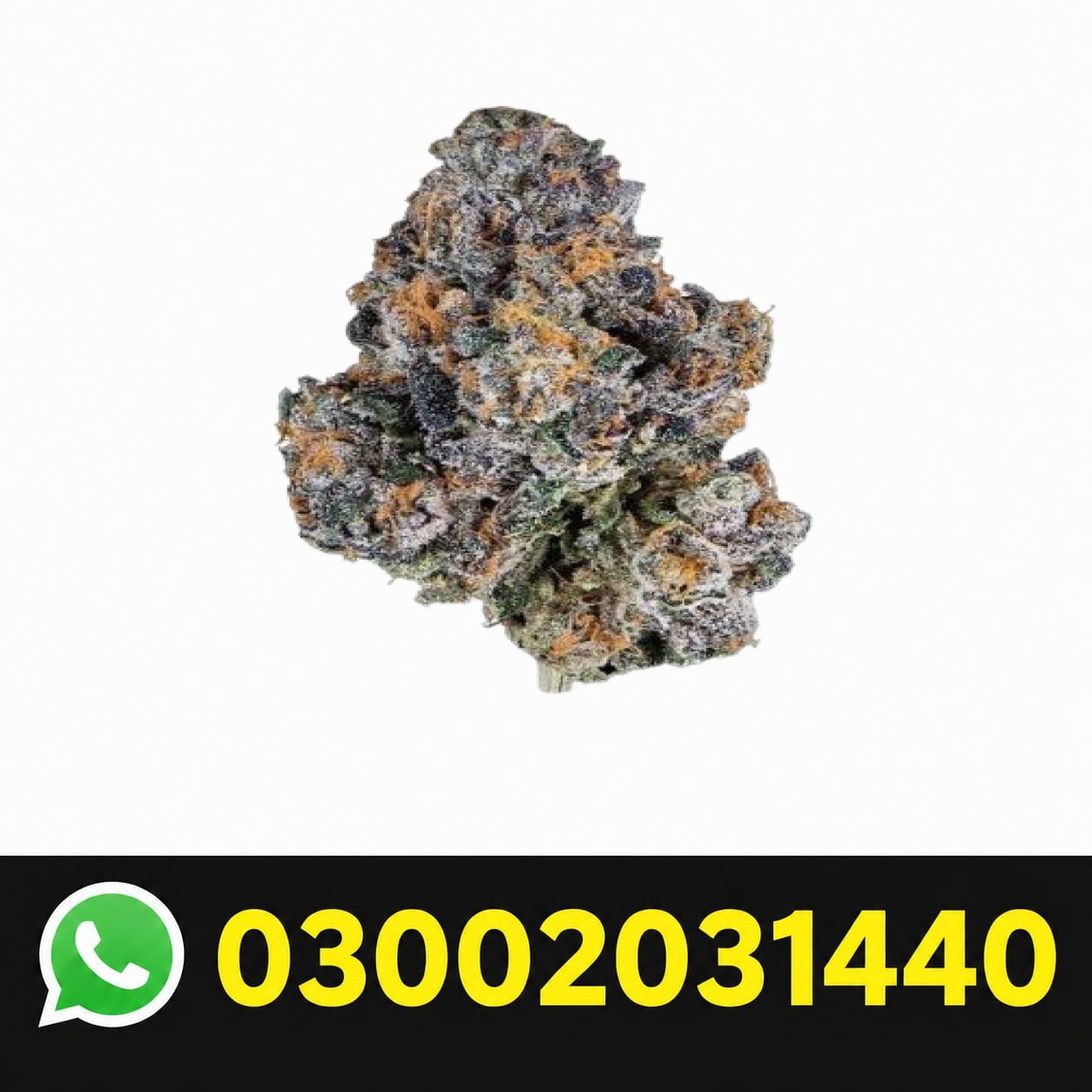 Kush Mintz THC-A Flower In Pakistan
